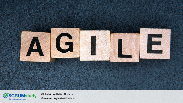 Como o Product Backlog Management Framework oferece suporte à priorização e organização de tarefas em um ambiente Scrum?